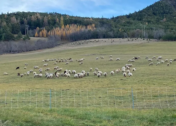 Superbe Ferme Renovee En Chalet De Luxe En Pleine Nature